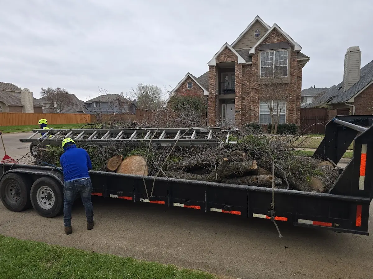 Expert Tree Pest Control with proper safety equipment in Sister Bay